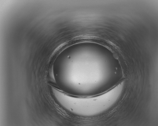 X0000060241314200511041246