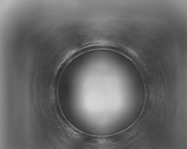 X0000060241318200511041246