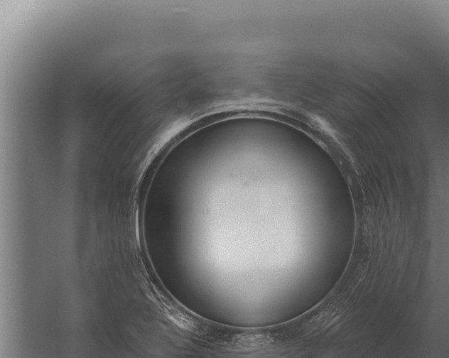 X0000060241320200511041246