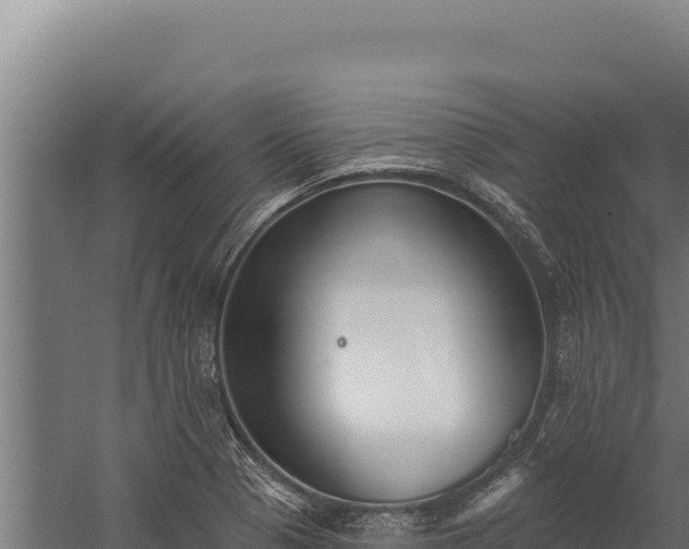 X0000060241321200511041246