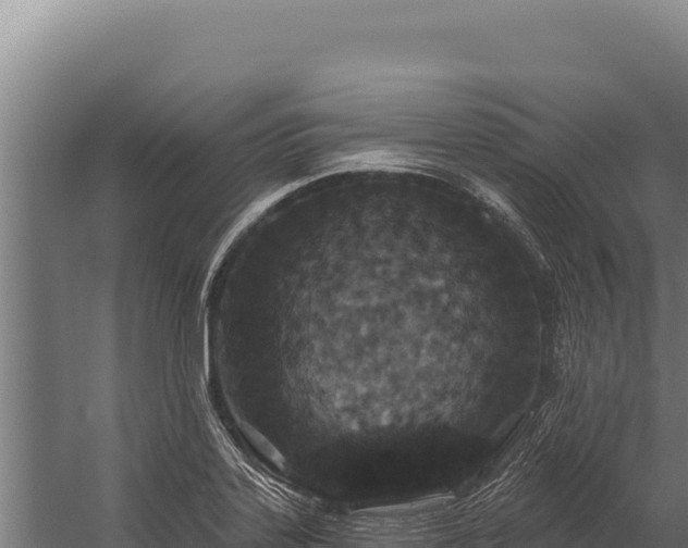 X0000060241323200511041246