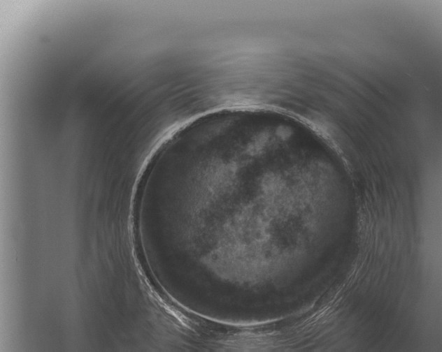 X0000060241327200511041246