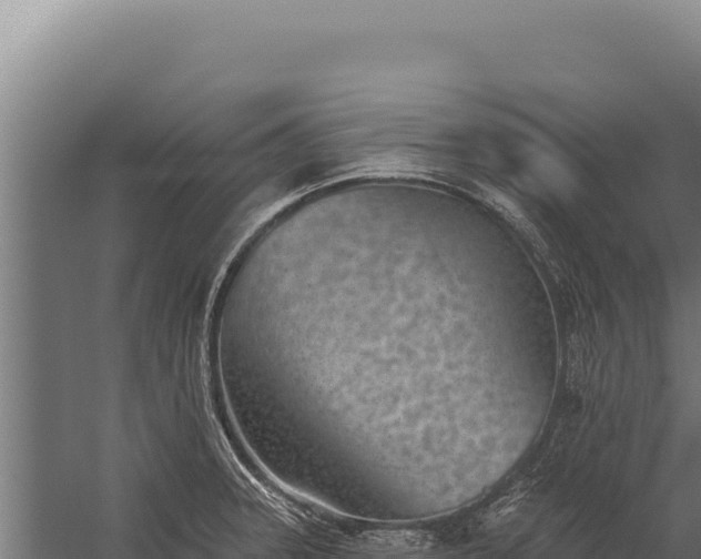 X0000060241331200511041246