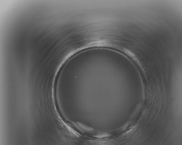 X0000060241334200511041247