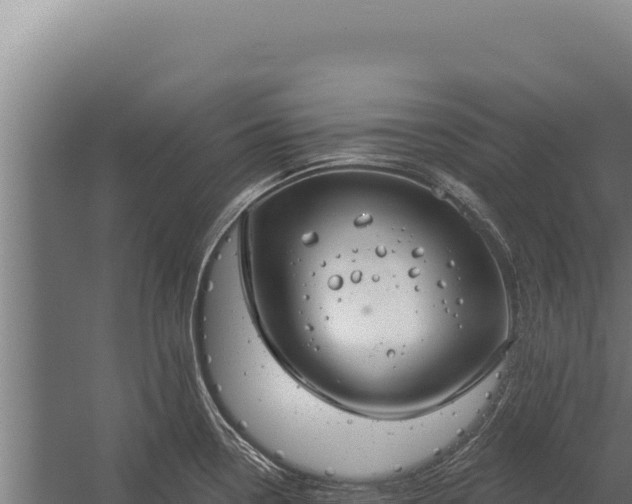 X0000060241338200511041247