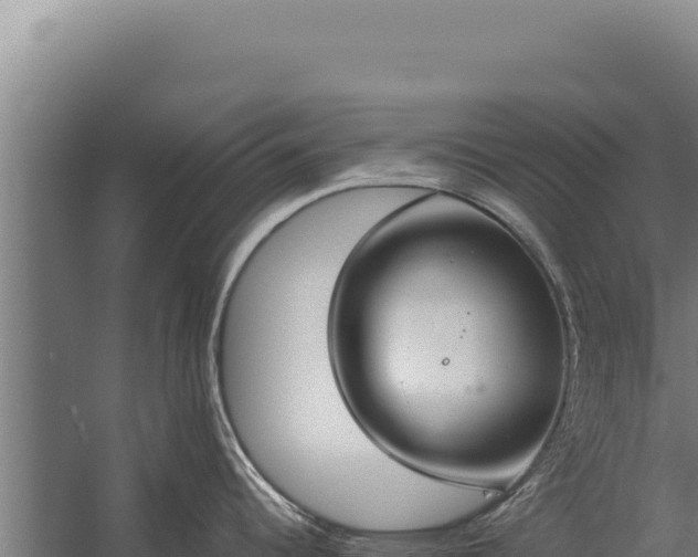 X0000060241344200511041247