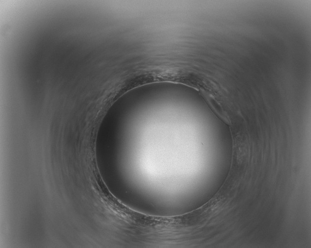 X0000060241345200511041246