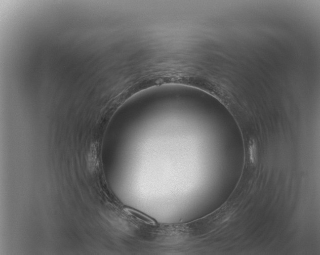 X0000060241347200511041246