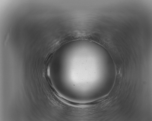 X0000060241348200511041246