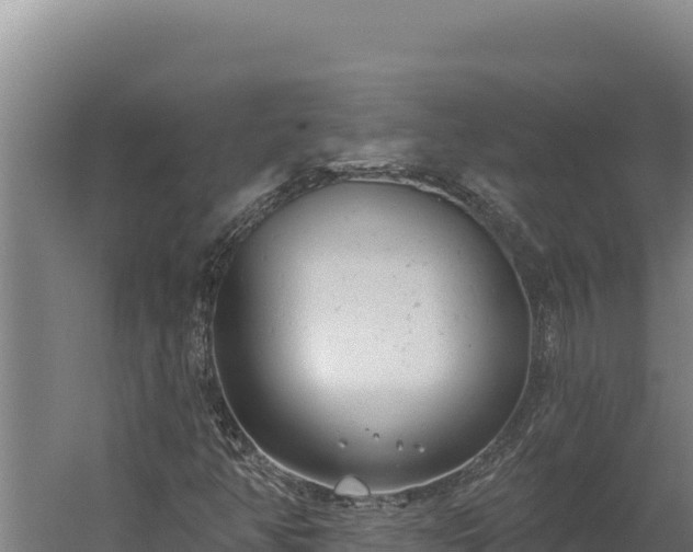 X0000060241350200511041246