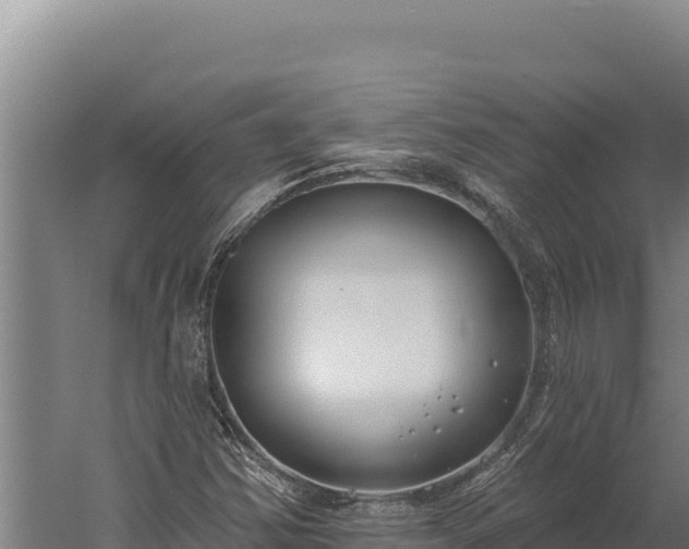 X0000060241354200511041246