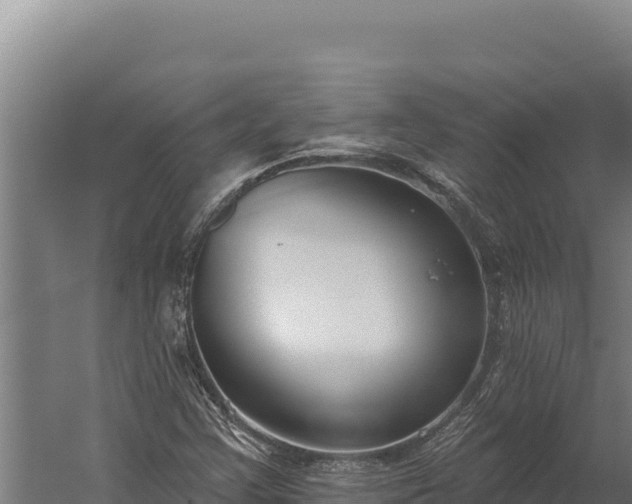 X0000060241355200511041246