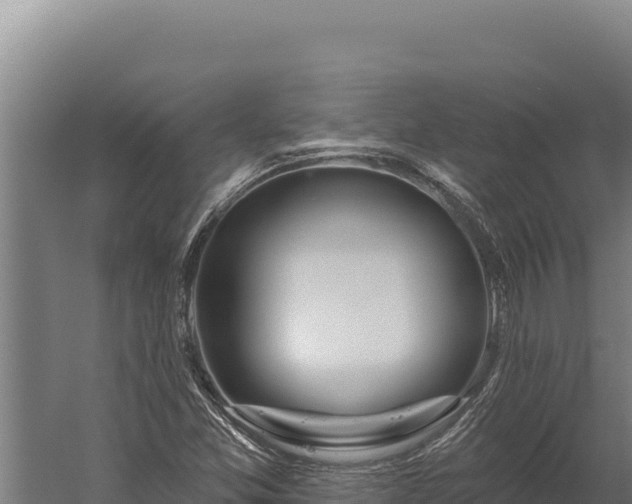 X0000060241357200511041246