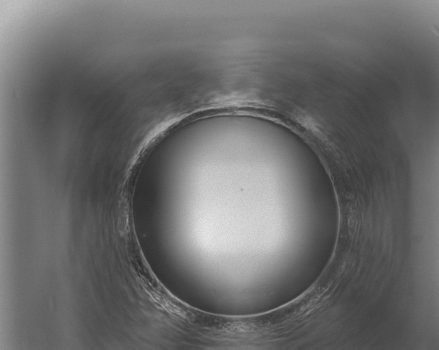 X0000060241358200511041246