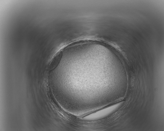 X0000060241359200511041246