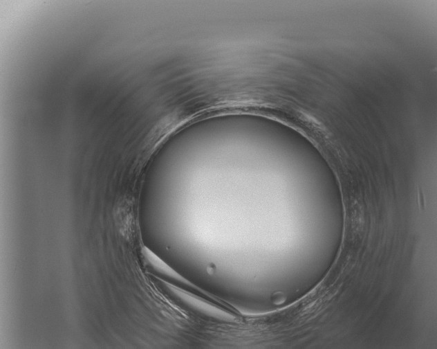 X0000060241361200511041246