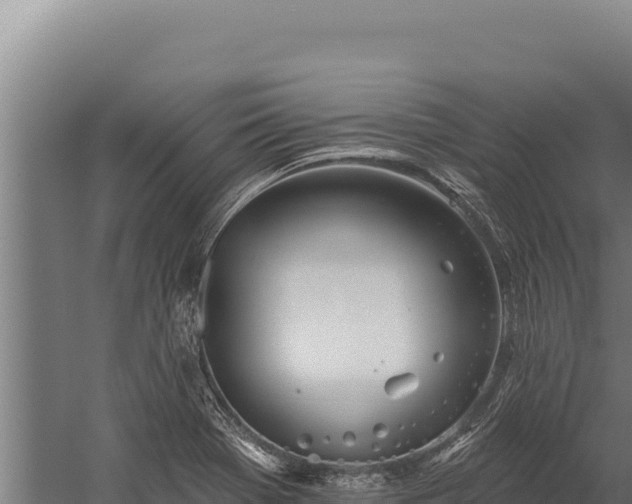 X0000060241369200511041246