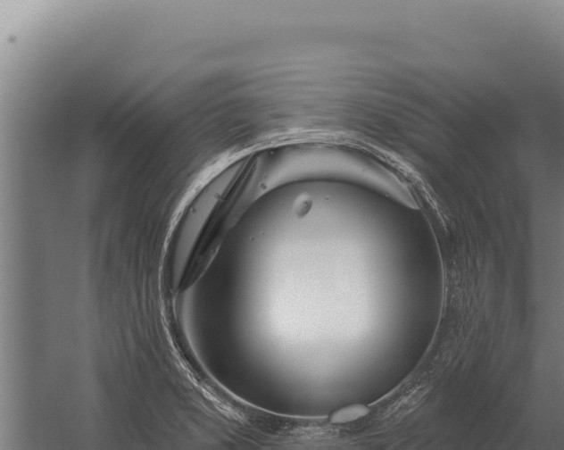 X0000060241373200511041245