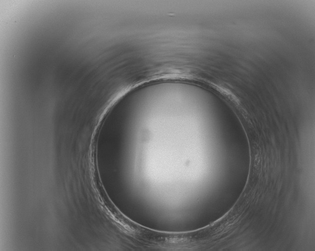 X0000060241375200511041245