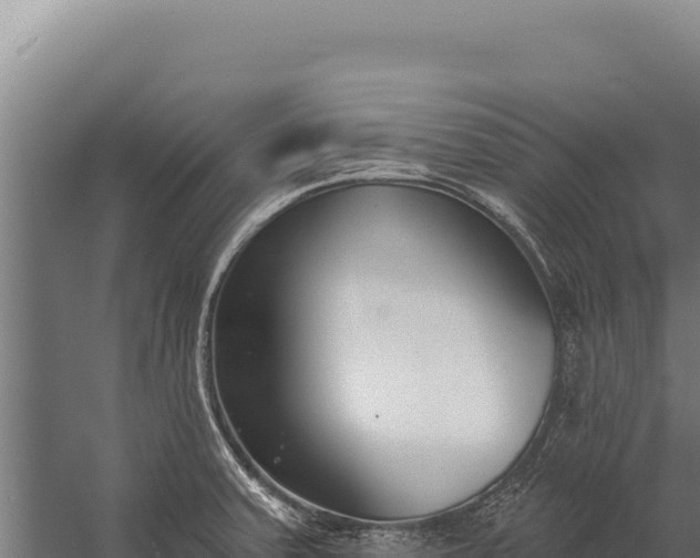 X0000060241379200511041245