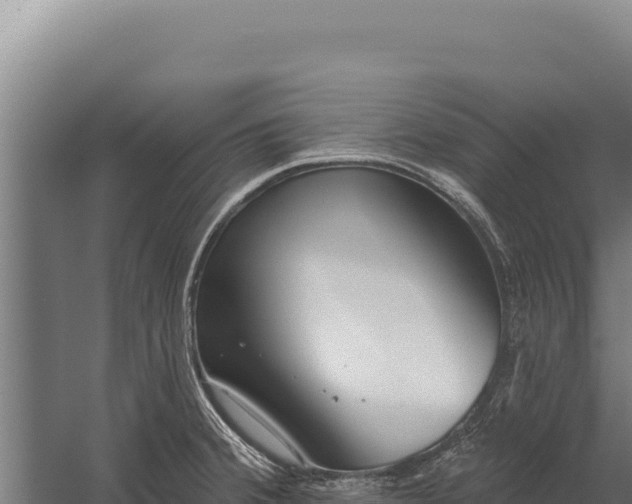 X0000060241380200511041245