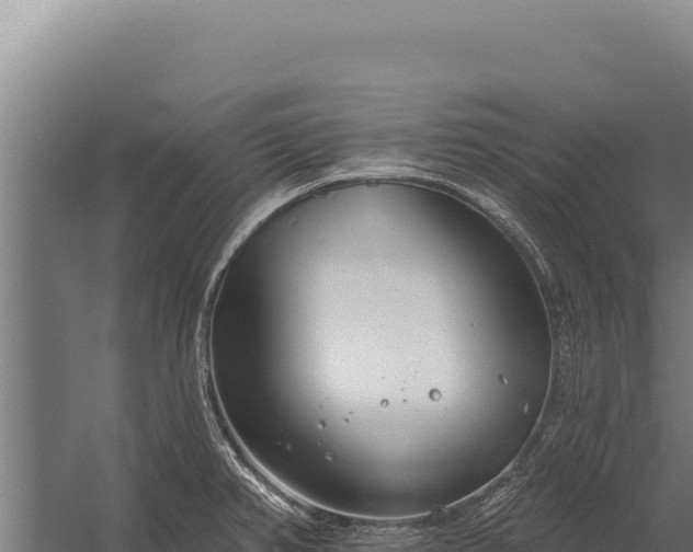 X0000060241382200511041245