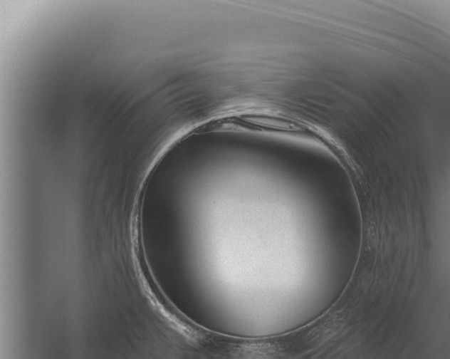 X0000060241383200511041245