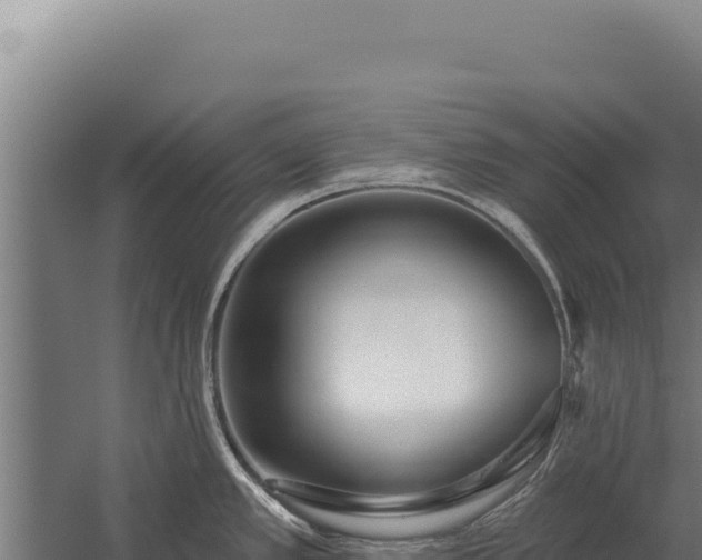 X0000060241389200511041245