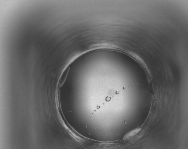 X0000060241391200511041245