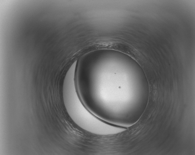 X0000060241394200511041244