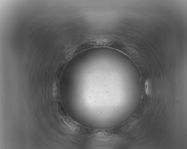 X0000060241395200511041244