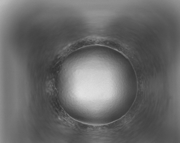 X0000060241397200511041244