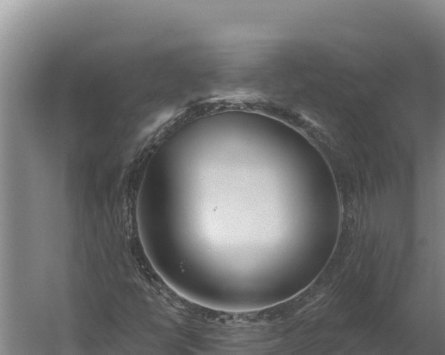 X0000060241398200511041244