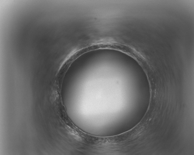 X0000060241400200511041244