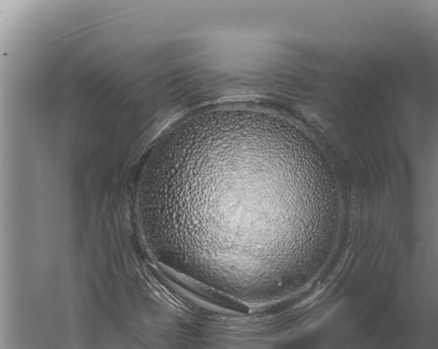 X0000060241401200511041244