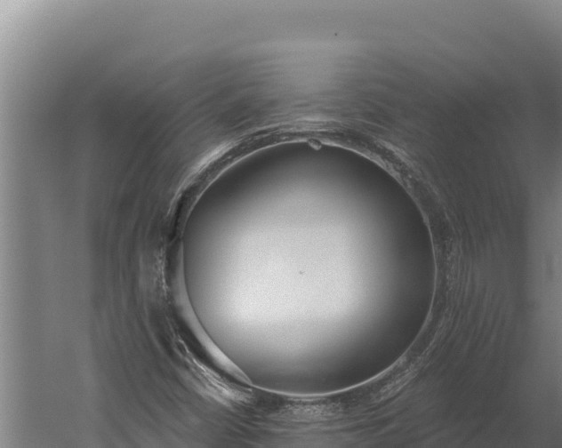 X0000060241402200511041244