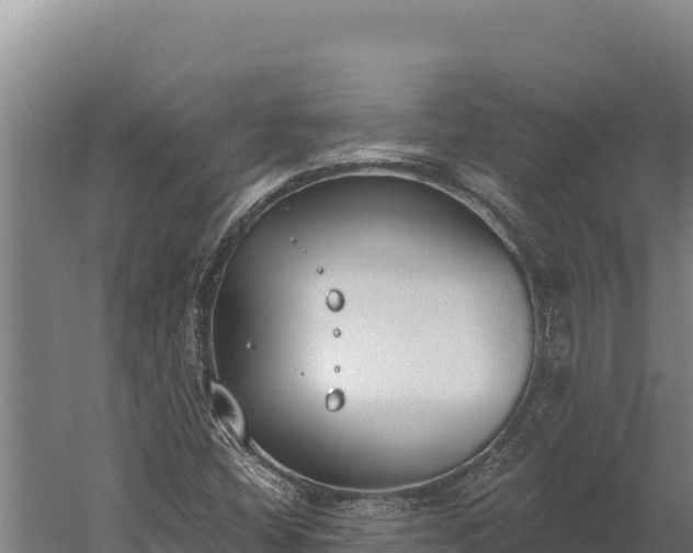 X0000060241404200511041244