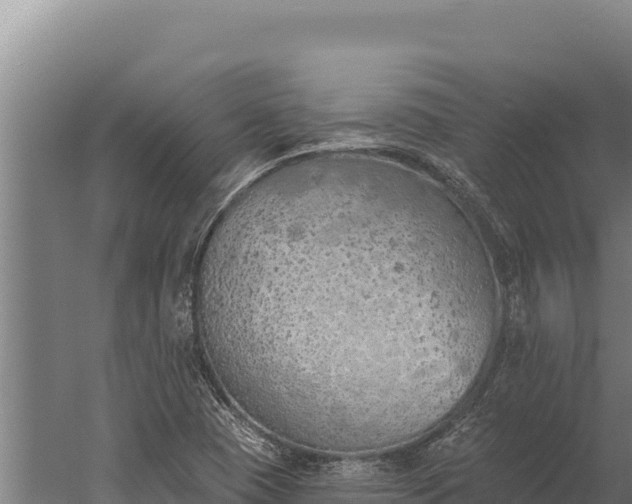 X0000060241409200511041245