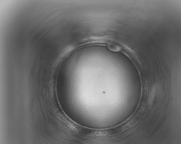 X0000060241411200511041245