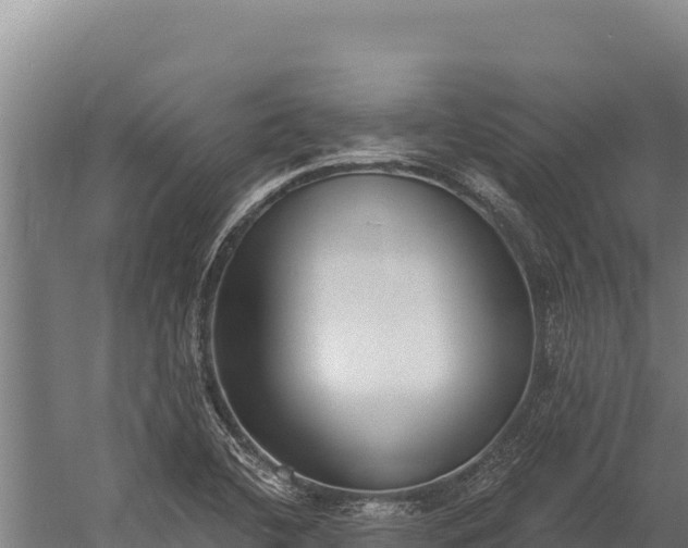 X0000060241412200511041245