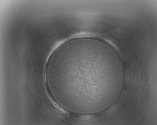 X0000060241413200511041245