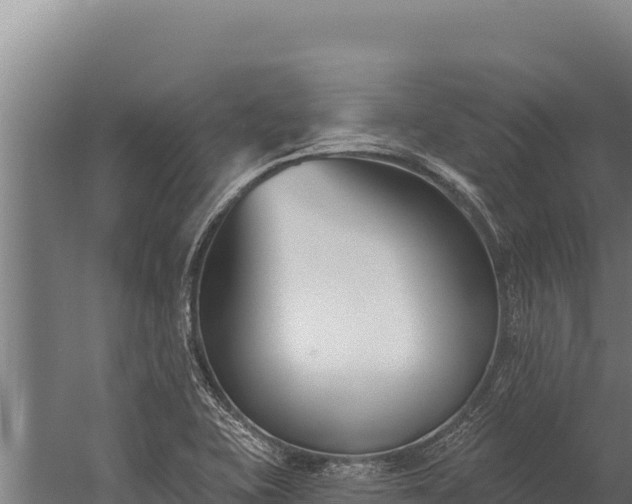 X0000060241415200511041245