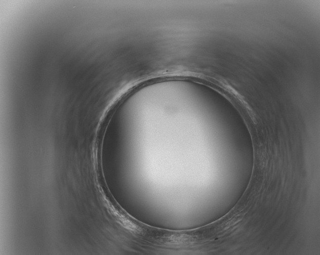 X0000060241416200511041245