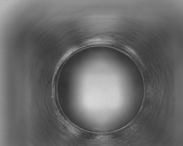 X0000060241419200511041245