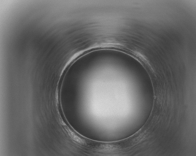 X0000060241420200511041245