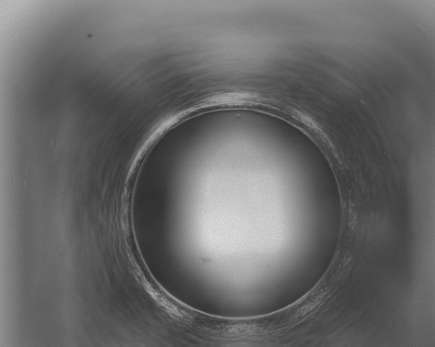 X0000060241421200511041245