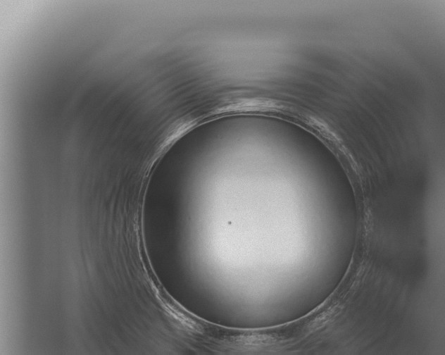 X0000060241425200511041245