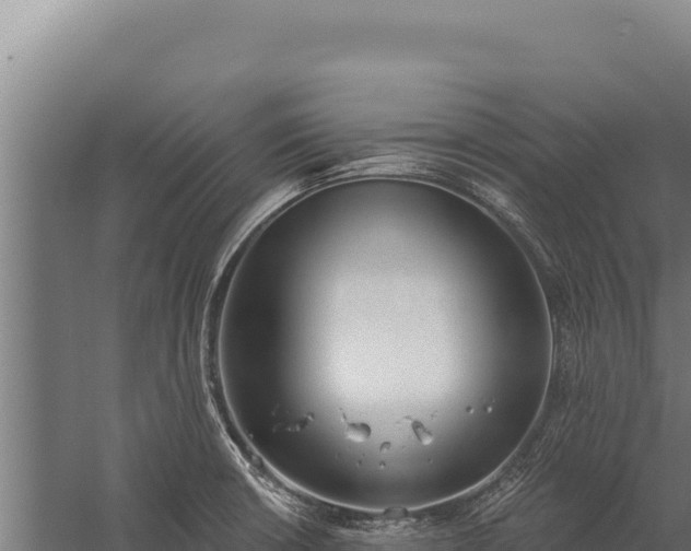 X0000060241426200511041245