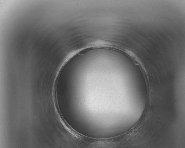 X0000060241429200511041245