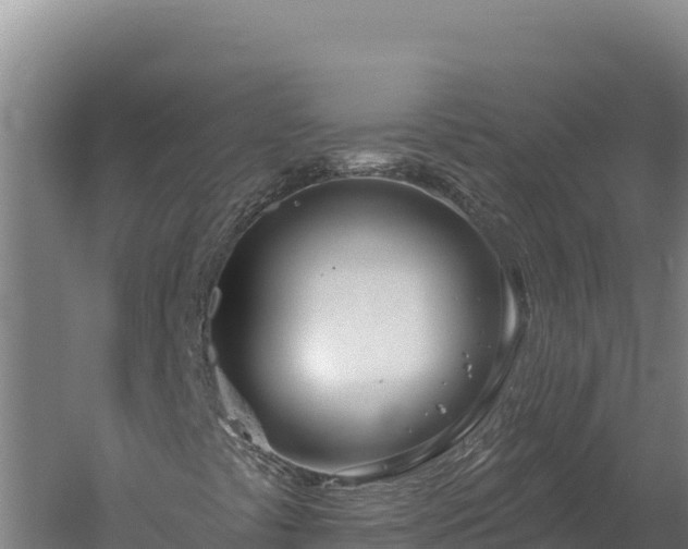 X0000060241441200511041244